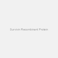 Survivin Recombinant Protein